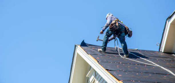 Best Roof Gutter Cleaning  in Hartland, WI
